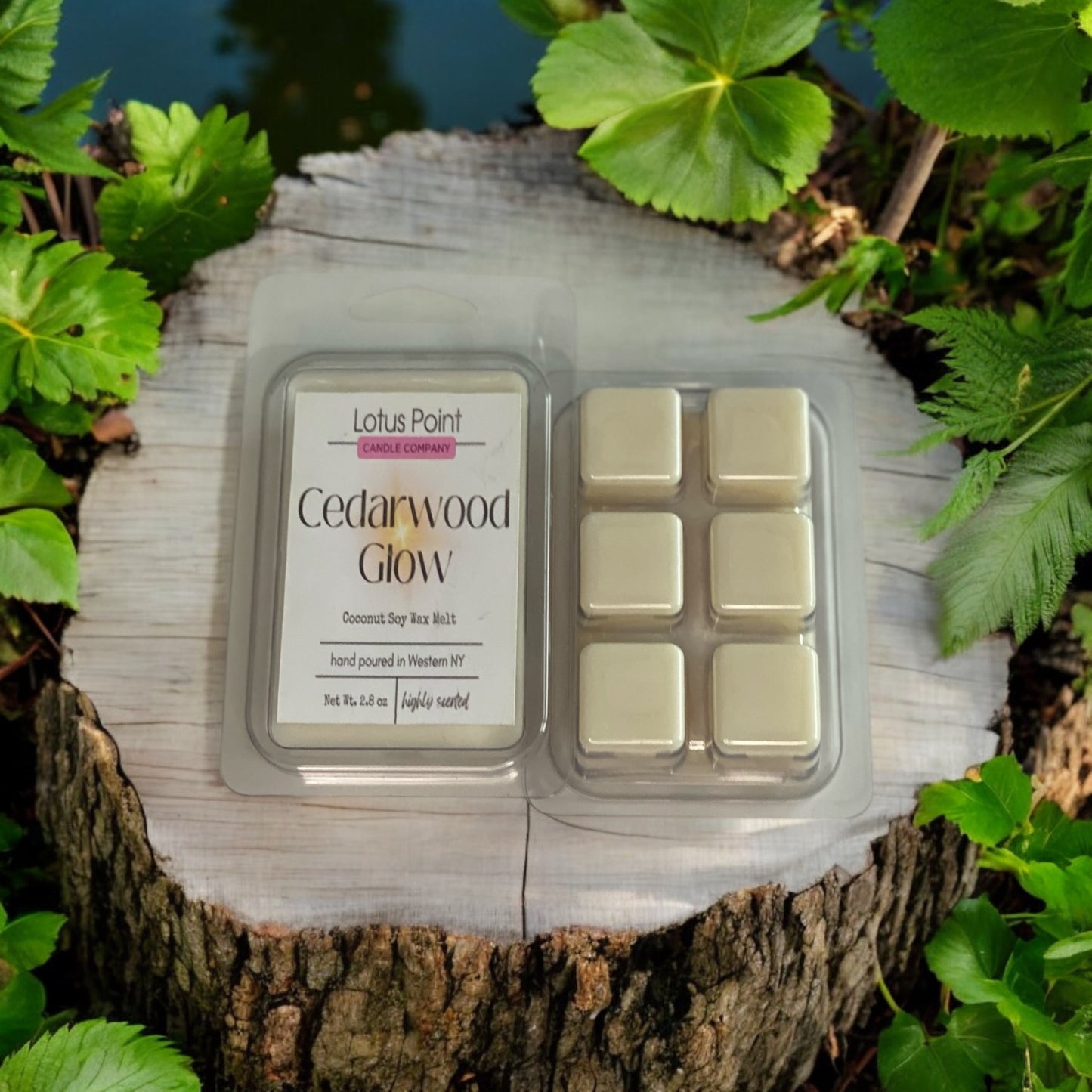 Cedarwood Glow