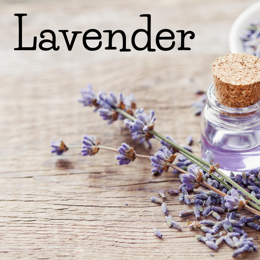 Lavender