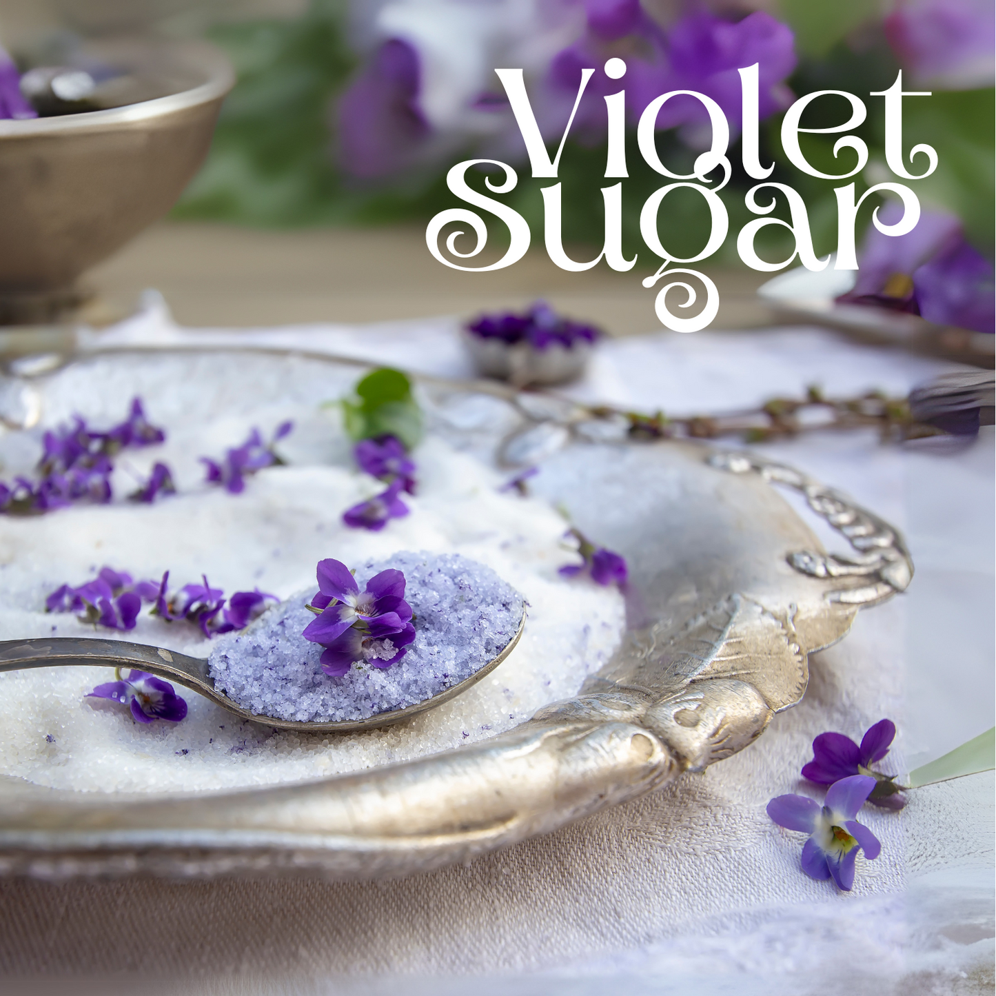 Violet Sugar