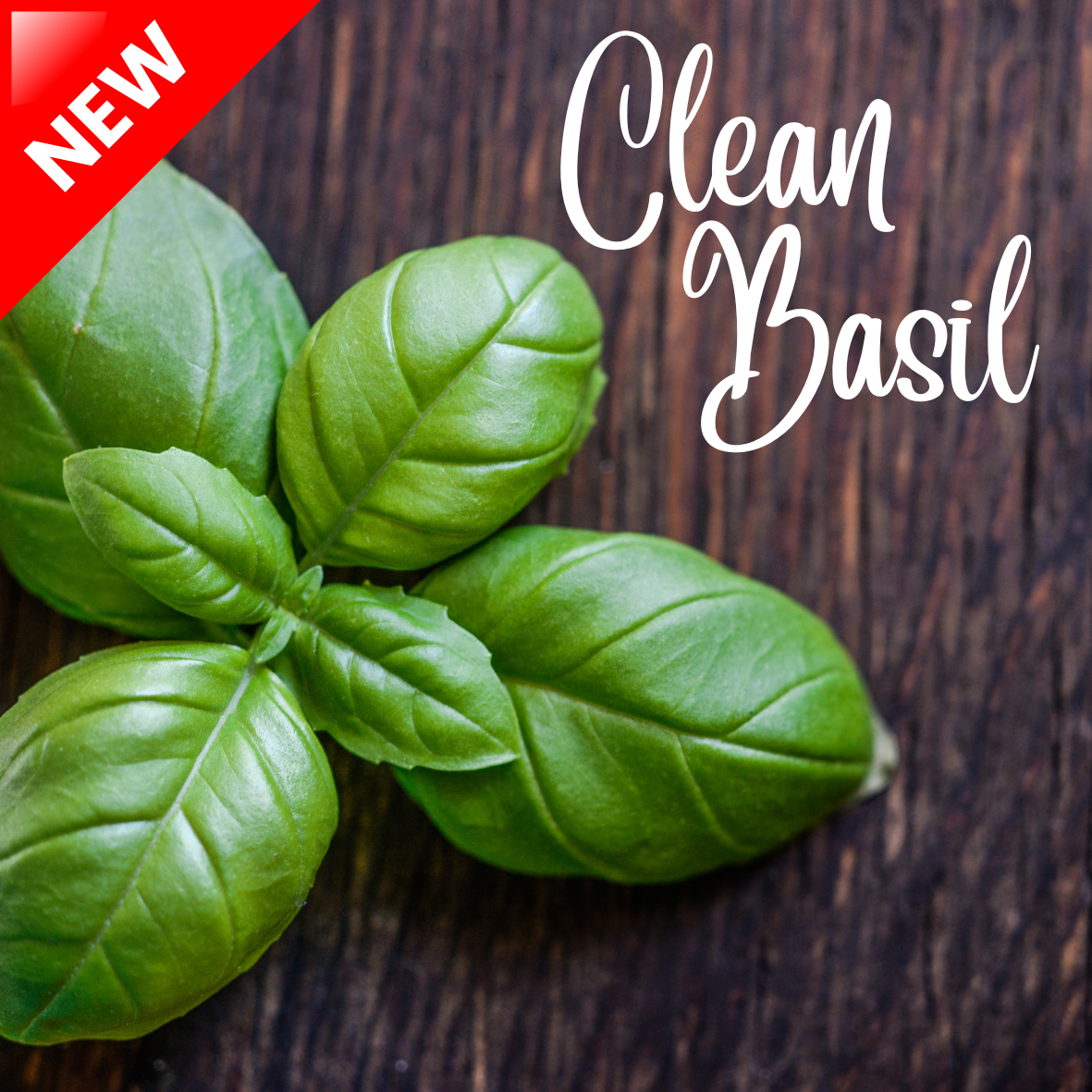 Clean Basil