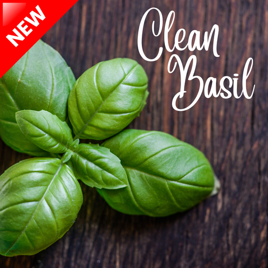 Clean Basil