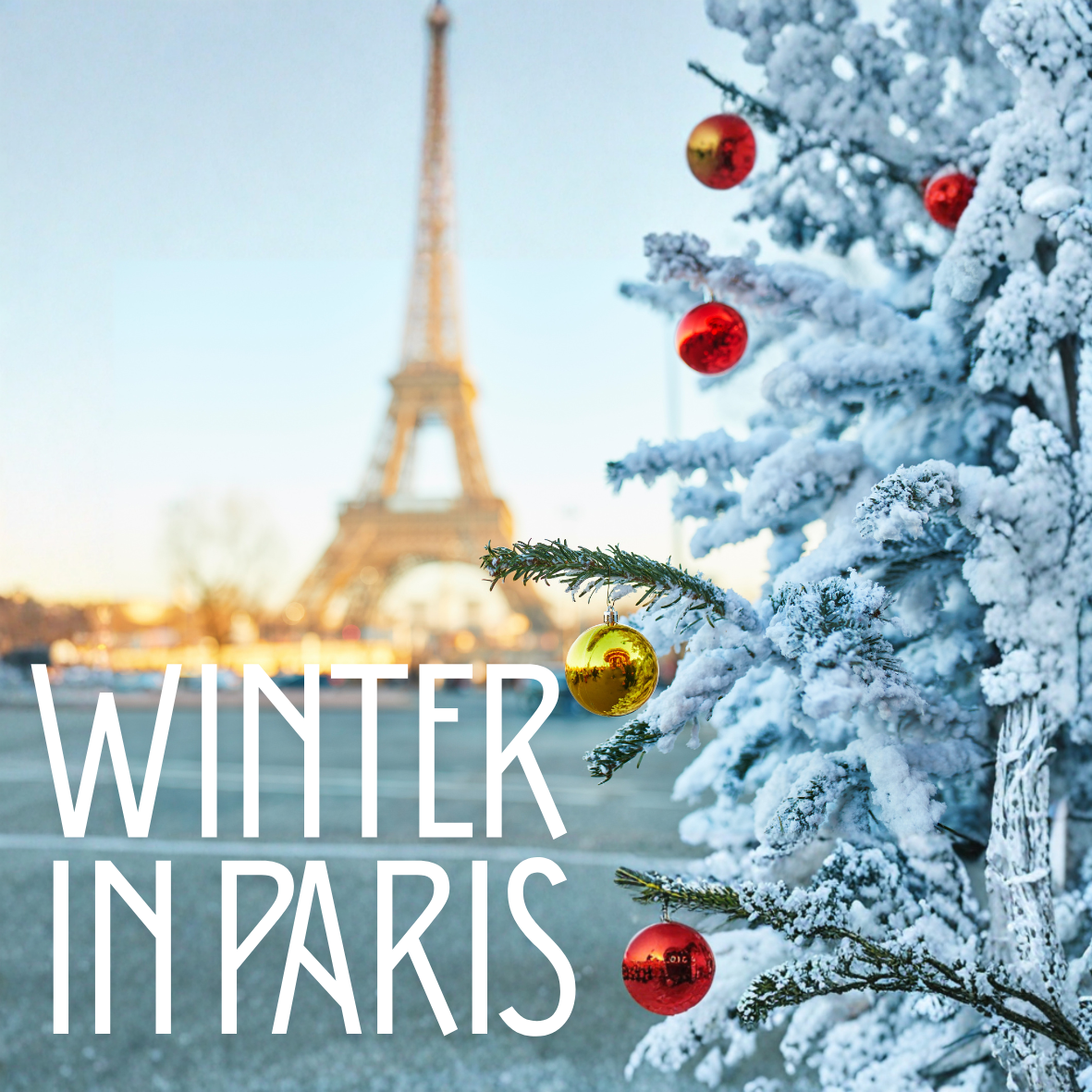 Winter in Paris