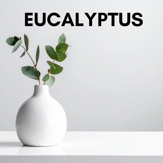Eucalyptus