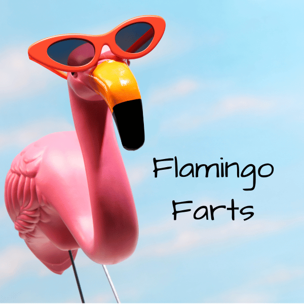 Flamingo Farts