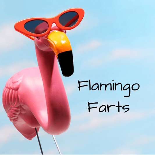 Flamingo Farts