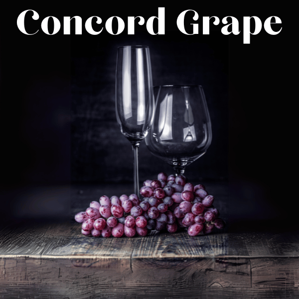 Concord Grape