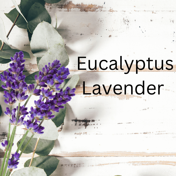 Eucalyptus Lavender