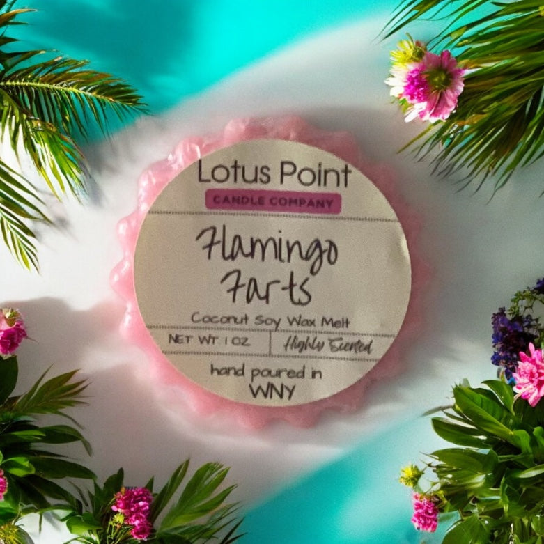 Flamingo Farts