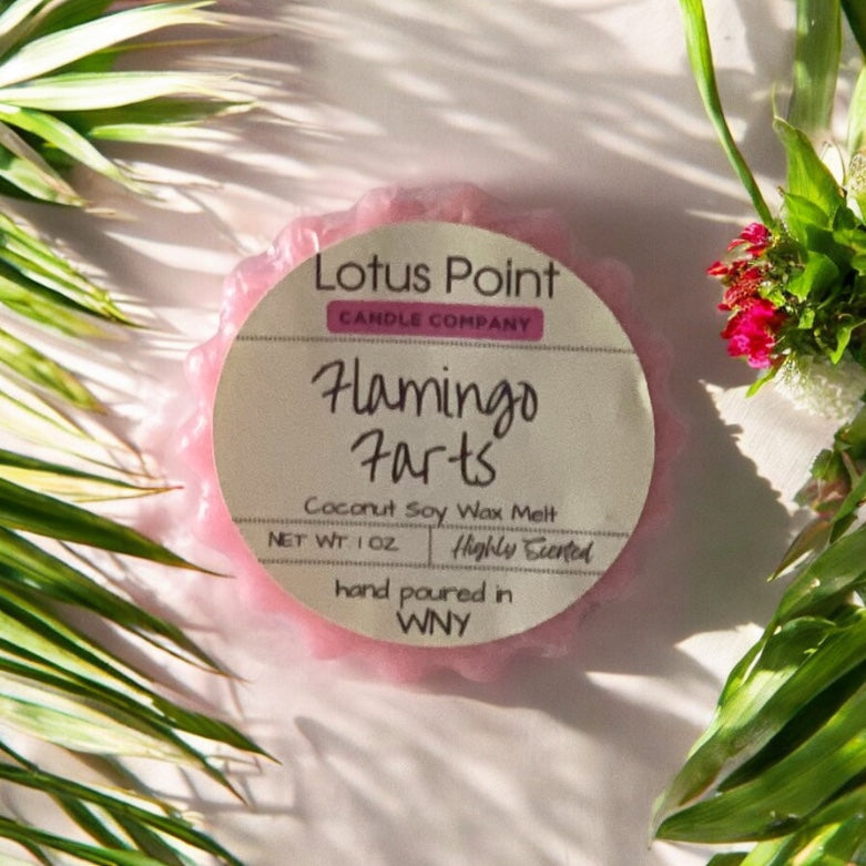 Flamingo Farts