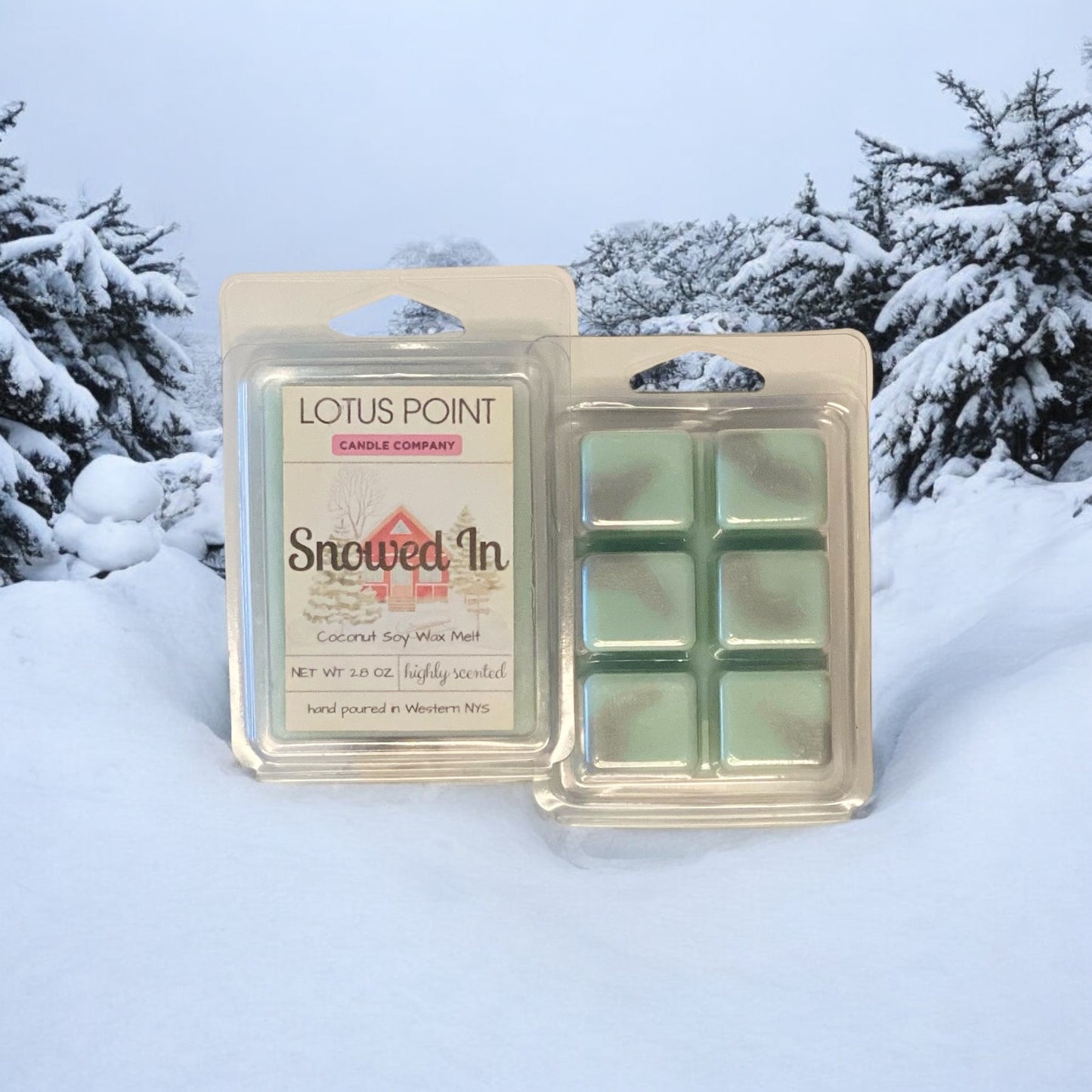 Snowed In