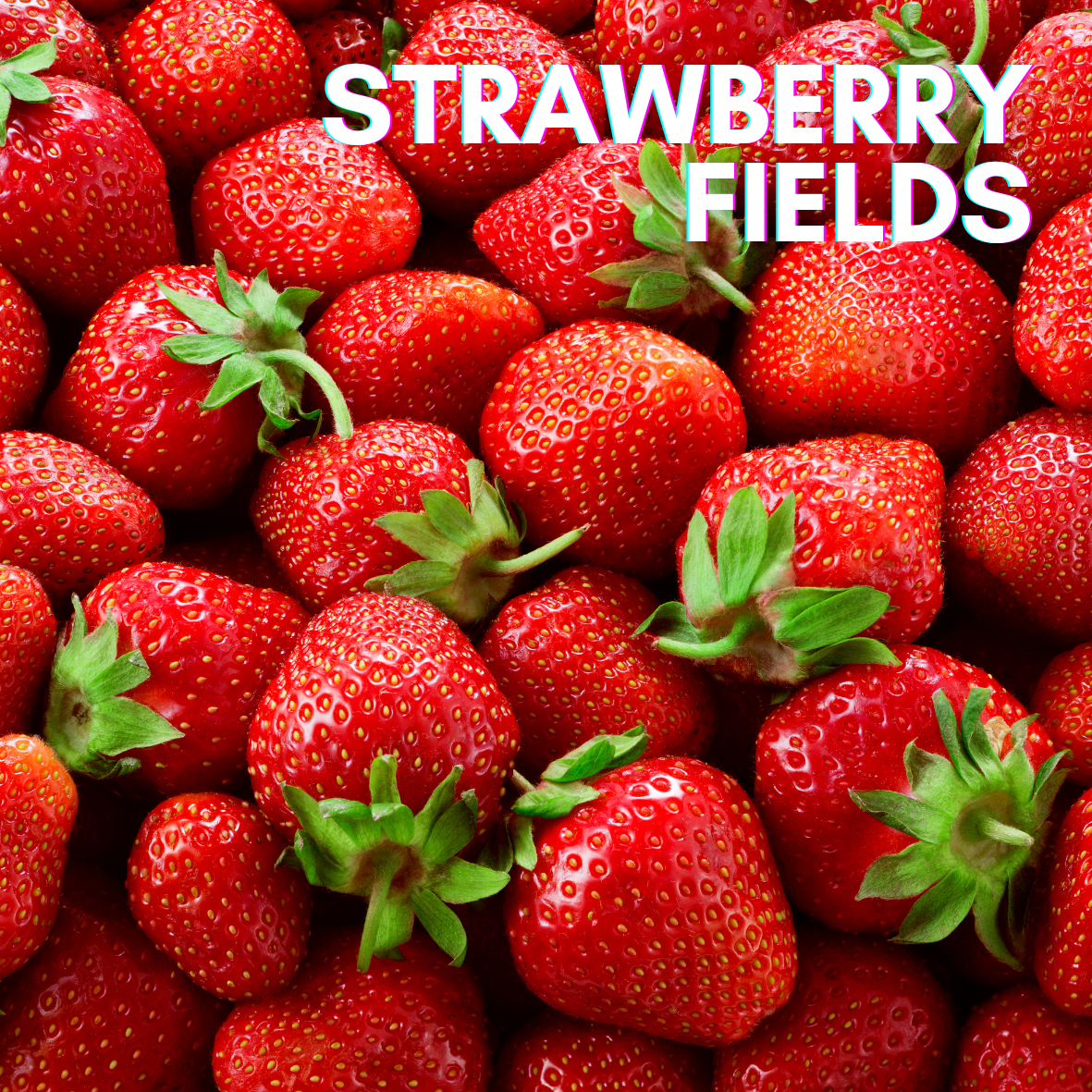 Strawberry Fields