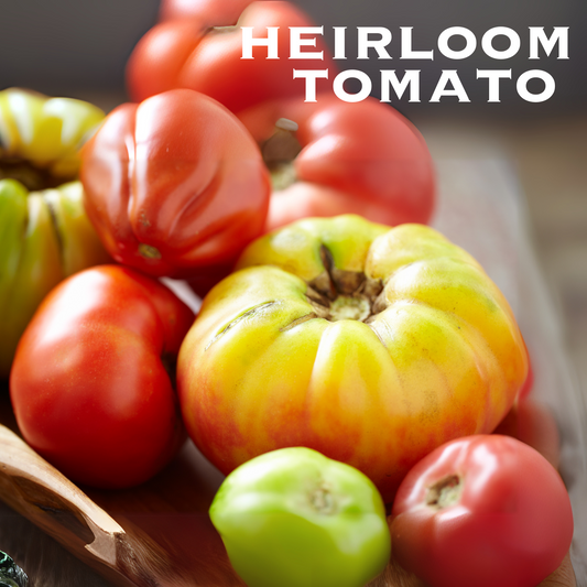 Heirloom Tomato